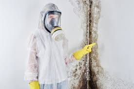 Best Attic Mold Removal  in Four Oaks, NC